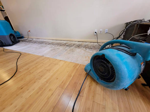 Professional Basement Flood Cleanup technician working in Fort Plain, NY
